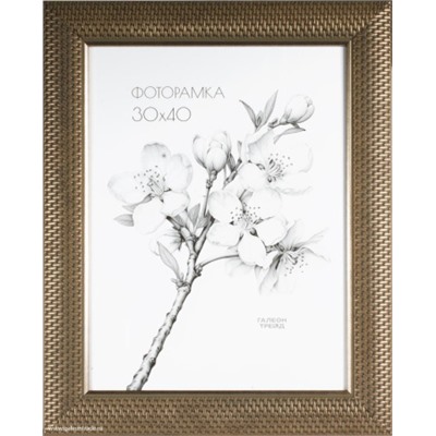Фоторамка 30х40 / DS5103-474P /