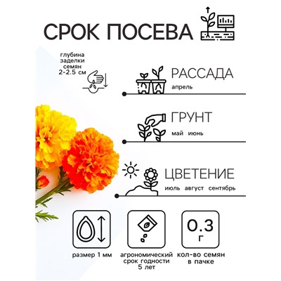 Семена цветов Бархатцы отклонённые «Петит», смесь, 0.3 г