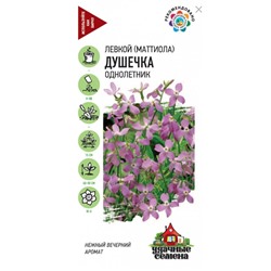 Маттиола Душечка двурогая Гавриш
