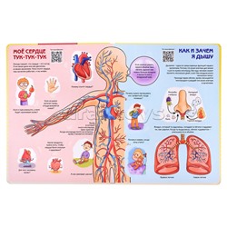 Энциклопедия с окошками "Как устроен человек?"