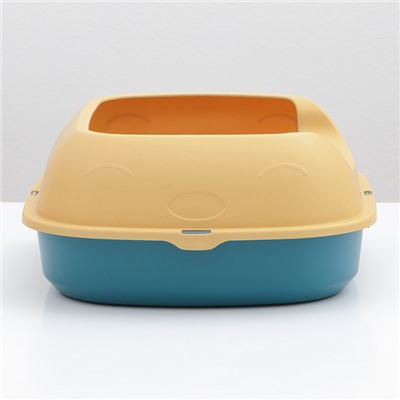 Туалет с бортом 46×38×18 см, голубой