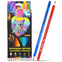 Карандаши цветные пластиковые "Triolino.Erase" стираемые, 12 цветов, 2М, диаметр грифеля 3мм