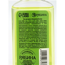 Подарочный набор новогодний «Исполнения желаний», гель для душа 2 шт.×100 мл, URAL LAB