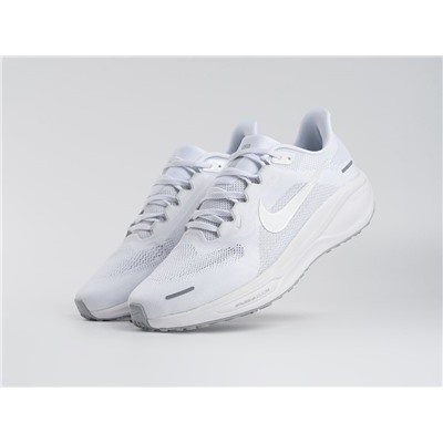 Кроссовки Nike Air Zoom Pegasus 41