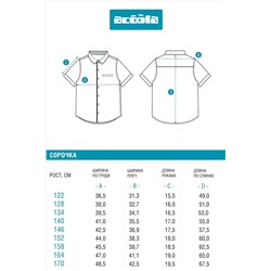 Рубашка ACOOLA, 1126916