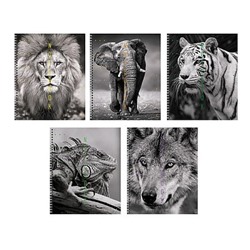 Тетрадь  96л клетка на спирали "Дикие и прекрасные" ТС968554 Listoff