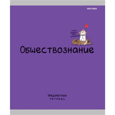 Тетрадь 48л "MINI FRIENDS" по обществознанию 48-2514 Проф-Пресс