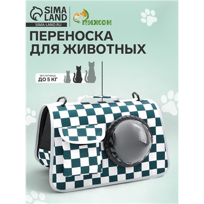 Сумка - переноска, 43×24×28 см, с органайзером и иллюминатором, белая, зелёная