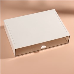 Органайзер для хранения «BASIC», 1 секция, 23×17×5 см, белый, прозрачный