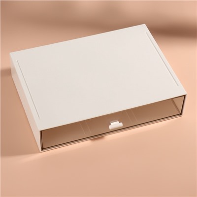 Органайзер для хранения «BASIC», 1 секция, 23×17×5 см, белый, прозрачный