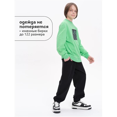 PELICAN Толстовка BFN3369