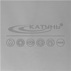 Кастрюля Катунь «Общепит», 15 л, d=30 см, h=23 см, нержавеющая сталь