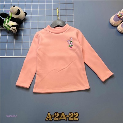 Водолазка с начёсом 1843683-3