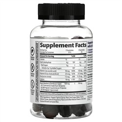 LifeSeasons, Clinical Immunity Elderberry Gummy, 6,500 mg , 75 Gummies