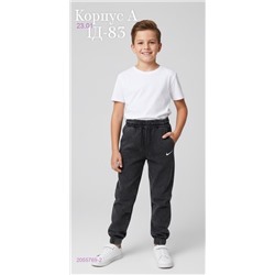 штаны 2055769-2