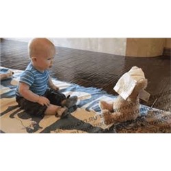 мишка играет в прятки