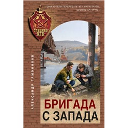 Эксмо Александр Тамоников "Бригада с запада"