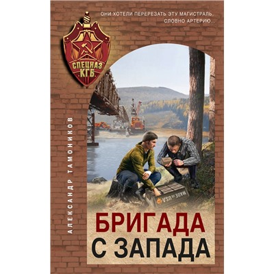 Эксмо Александр Тамоников "Бригада с запада"