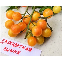 Томат Двухцветная вишня (Агрони) Скидка! Срок годн 12.2025