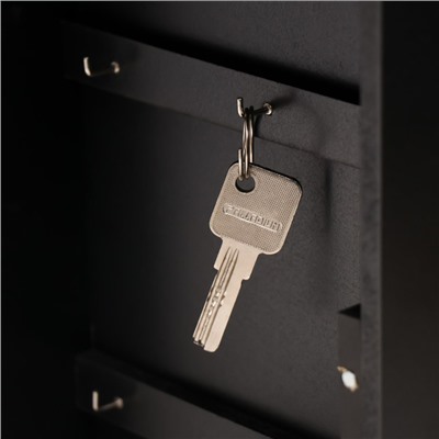 Ключница настенная «Велосипед с корзинкой с цветами», дерево, чёрная, зеркальная, 6×22.3×29.5 см