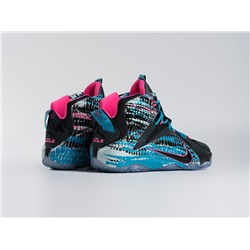 Кроссовки Nike Lebron 12