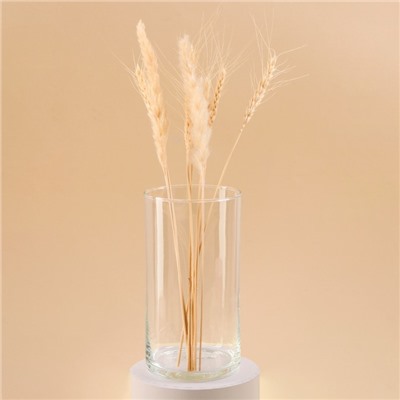 Ваза «Цилиндр. Тициано», 1.6 л, h=20 см, d=11 см, стекло, прозрачная