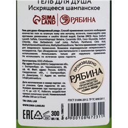 Подарочный набор новогодний: гель для душа, пена для ванны и мочалка, URAL LAB