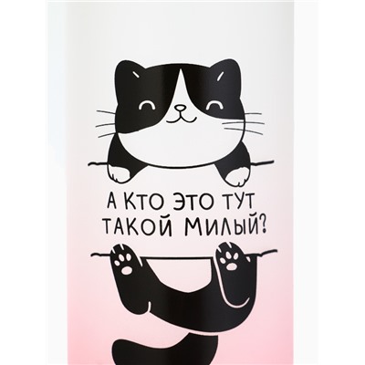 Бутылка для воды пластиковая «Котя», 300 мл