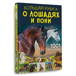 АСТ Спектор А.А. "Большая книга о лошадях и пони. 1001 фотография"