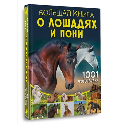 АСТ Спектор А.А. "Большая книга о лошадях и пони. 1001 фотография"