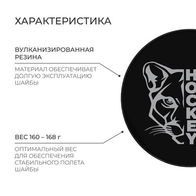 Шайба хоккейная Winter Star, взрослая, d=7.6 см