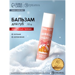 Бальзам для губ «Зимняя сладость», 10 г, аромат ванильного пряника, URAL LAB