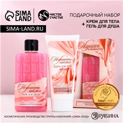 Подарочный набор косметики «Окунись в нежность!», гель для душа 300 мл и крем для тела 200 мл, Чистое счастье