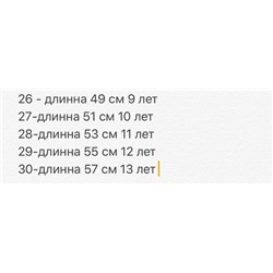 бриджи