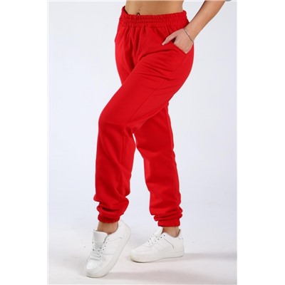 Брюки футер двухнитка с тонким начесом Арт. 1009 (Красный)