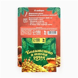 Подарочный набор новогодний, блокнот 9х9 см, ручка пластик «Достатка и благополучия»