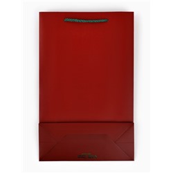 Пакет подарочный «Новый год», тиснение, с бумажной объёмной ёлкой, 25.5×30×9 см