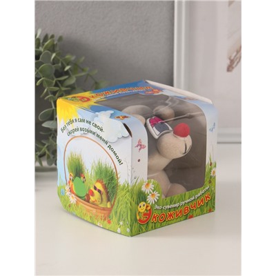 Набор для выращивания «ЭкоЖивчик. Енот», фигурка растущая в подарочной упаковке