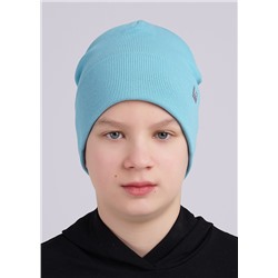 CLEVER Шапка