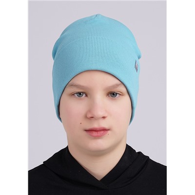 CLEVER Шапка