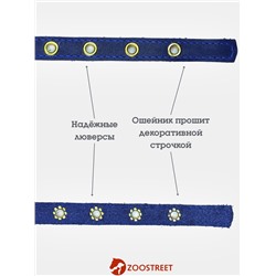 Ошейник, безразмерный, 35×1.5 см, с подпряжником, кожа, синий