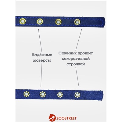 Ошейник, безразмерный, 35×1.5 см, с подпряжником, кожа, синий