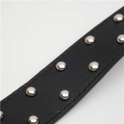 Ошейник клепаный в 2 ряда, 63.5×3.8 см, черный