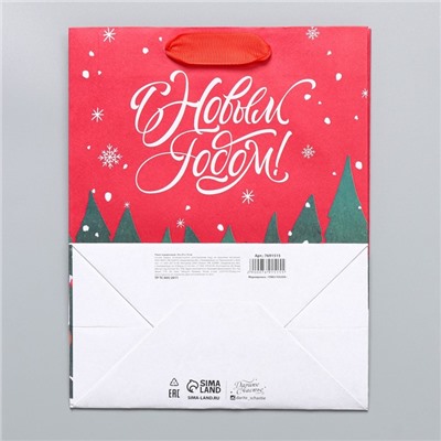 Пакет подарочный новогодний крафтовый New, MS 18×23×10 см