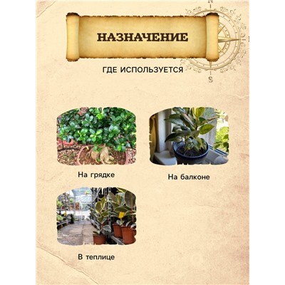 Грунт для Пальм и Фикусов PETER PEAT, линия «Хобби», 10 л