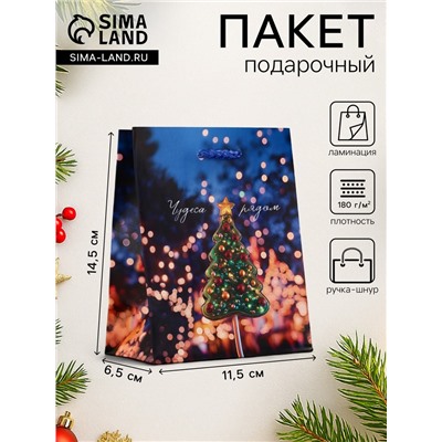 Пакет подарочный новогодний ламинированный, «Чудеса рядом», 11.5×6.5×14.5 см