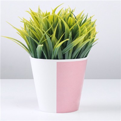 Кашпо для цветов «Цвет», 800 мл, d=12 см, h=11 см, пластиковое