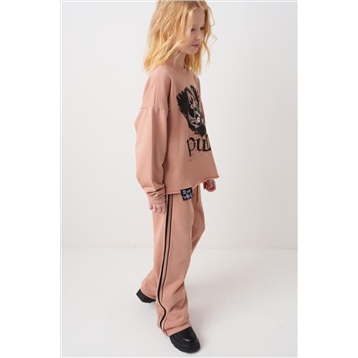 Комплект трикотажный для девочек: толстовка, брюки PLAYTODAY, 1240165