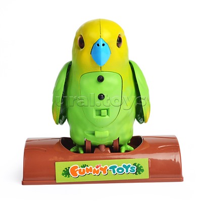 Птичка "Попугай Кеша" в коробке