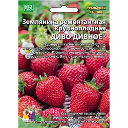 Земляника Диво Дивное ремонт крупн (УД)